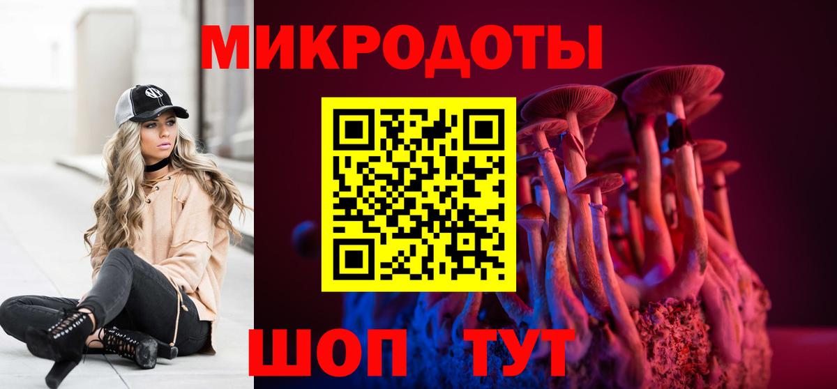Псилоцибиновые грибы Cubensis Камышлов