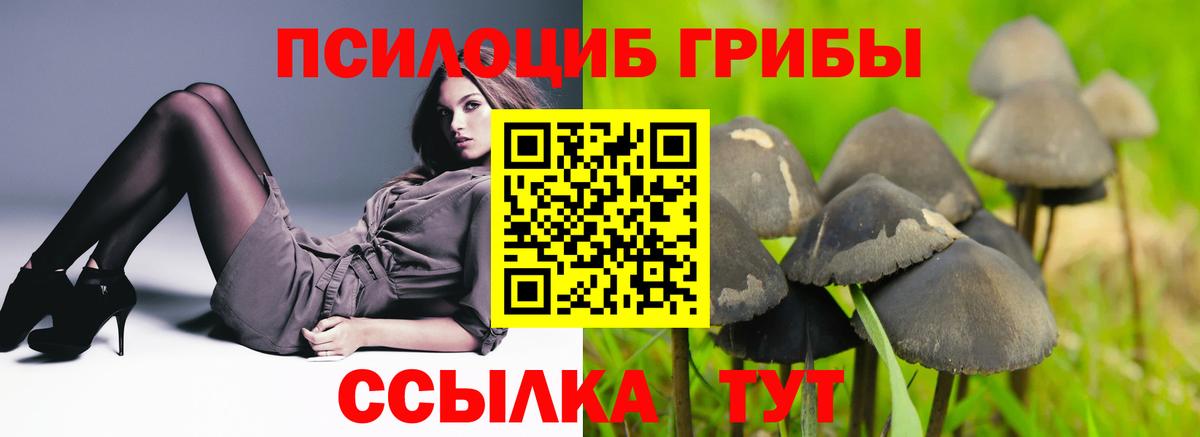 Псилоцибиновые грибы Psilocybine cubensis  Вход с VPN  Галлюциногенные грибы мицелий  Камышлов 